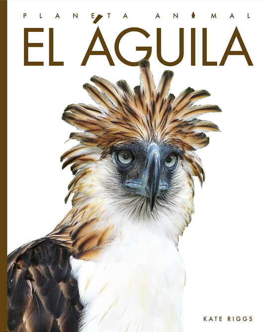Planeta animal - New Edition: El águila by The Creative Company Shop