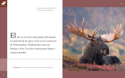 Planeta animal - New Edition: El alce by The Creative Company Shop