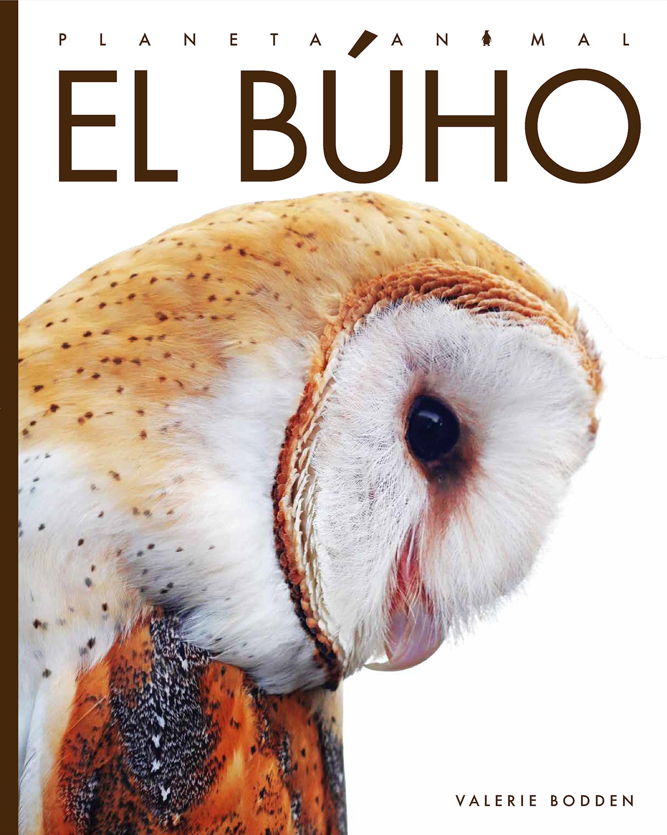 Planeta animal - New Edition: El búho by The Creative Company Shop