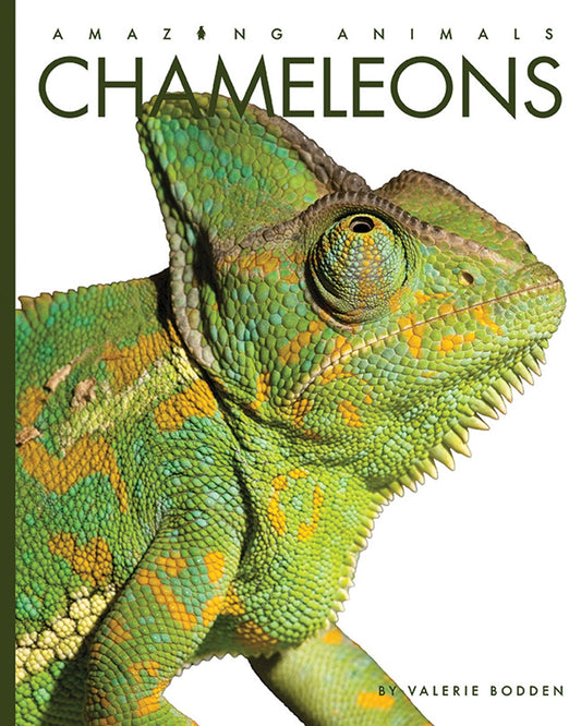 Amazing Animals - New Edition: Chameleons by The Creative Company Shop