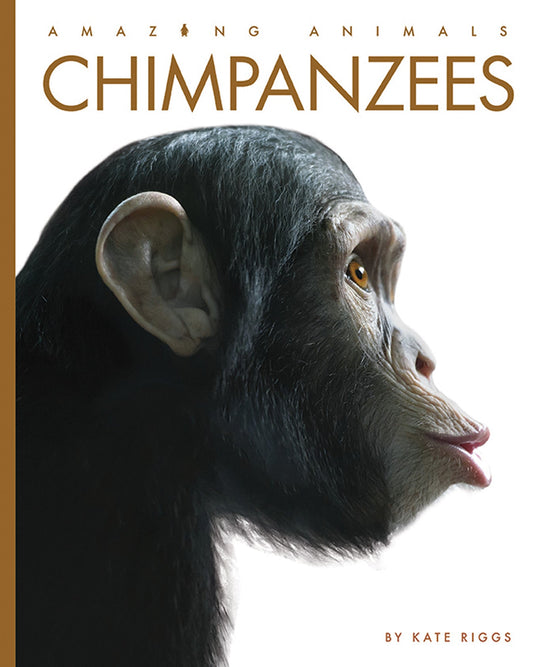 Amazing Animals - New Edition: Chimpanzees by The Creative Company Shop