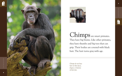 Amazing Animals - New Edition: Chimpanzees by The Creative Company Shop