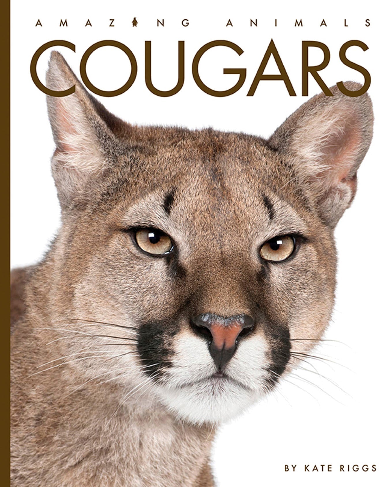 Amazing Animals - New Edition: Cougars by The Creative Company Shop