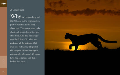 Amazing Animals - New Edition: Cougars by The Creative Company Shop