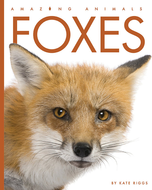 Amazing Animals - New Edition: Foxes by The Creative Company Shop