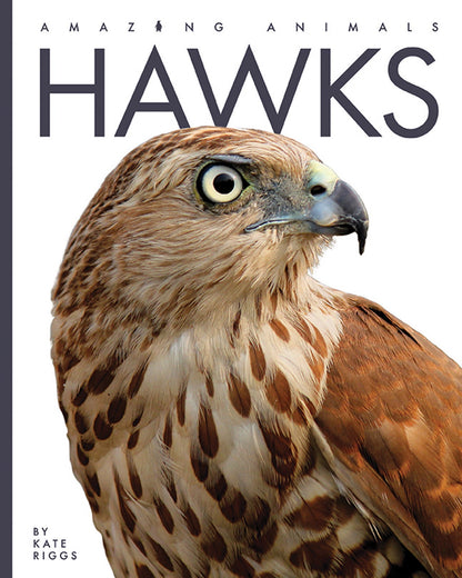 Amazing Animals - New Edition: Hawks by The Creative Company Shop