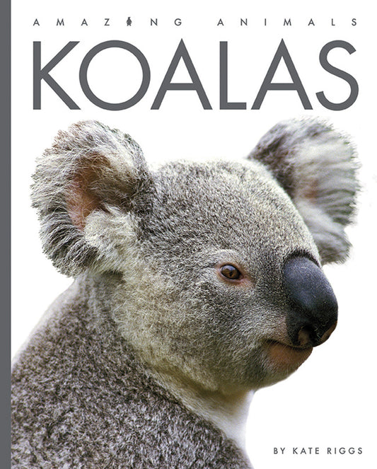 Amazing Animals - New Edition: Koalas by The Creative Company Shop