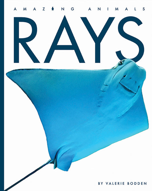 Amazing Animals - New Edition: Rays by The Creative Company Shop