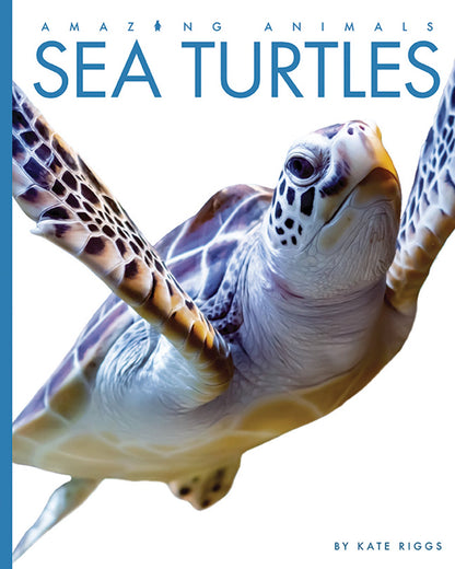 Amazing Animals - New Edition: Sea Turtles by The Creative Company Shop