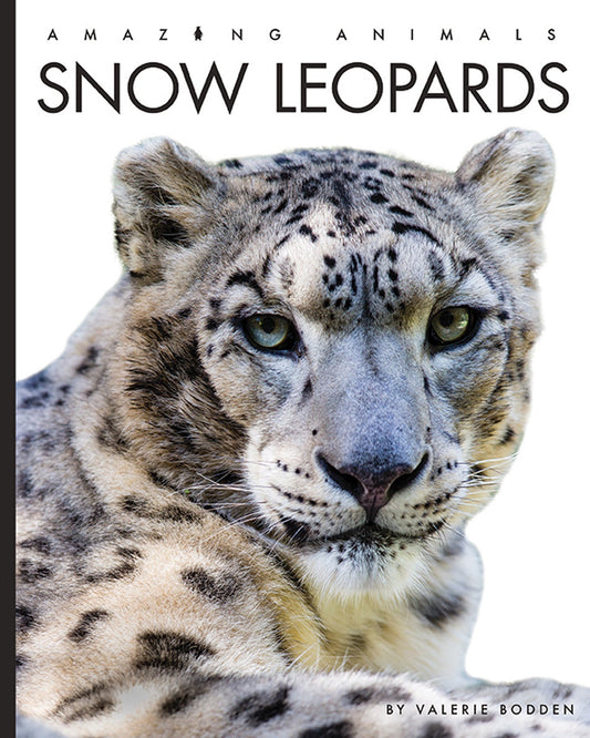 Amazing Animals - New Edition: Snow Leopards by The Creative Company Shop