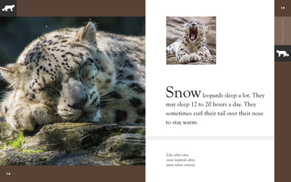 Amazing Animals - New Edition: Snow Leopards by The Creative Company Shop