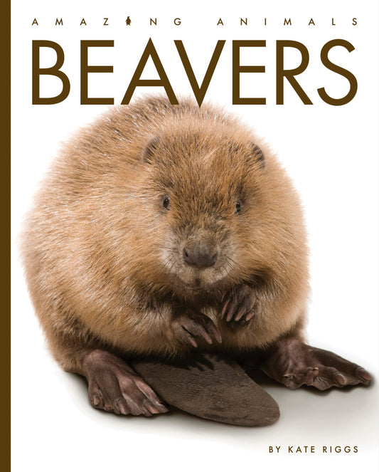 Amazing Animals - New Edition: Beavers by The Creative Company Shop