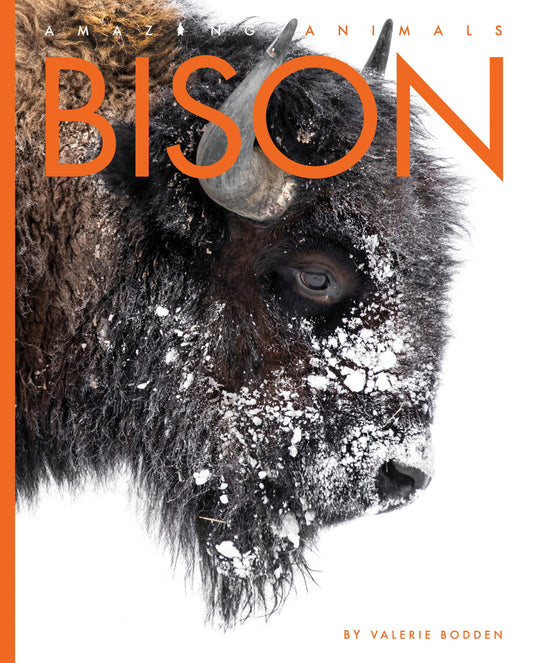 Amazing Animals - New Edition: Bison by The Creative Company Shop