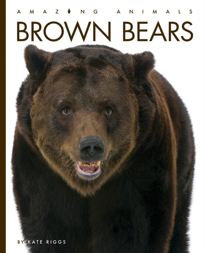Amazing Animals - New Edition: Brown Bears by The Creative Company Shop