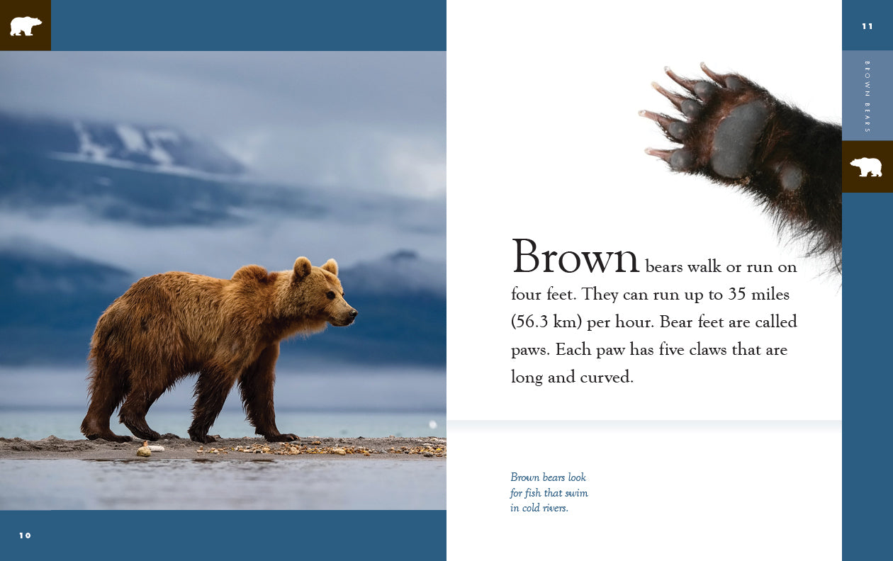 Amazing Animals - New Edition: Brown Bears by The Creative Company Shop