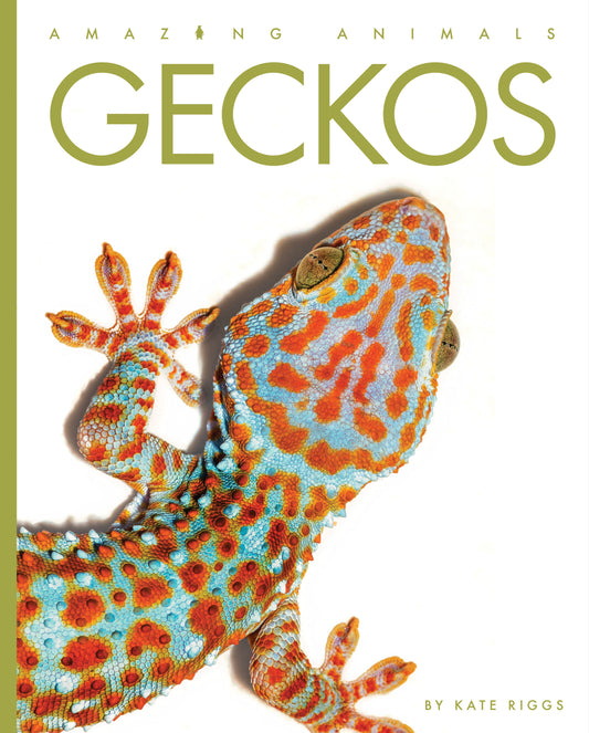 Amazing Animals - New Edition: Geckos by The Creative Company Shop