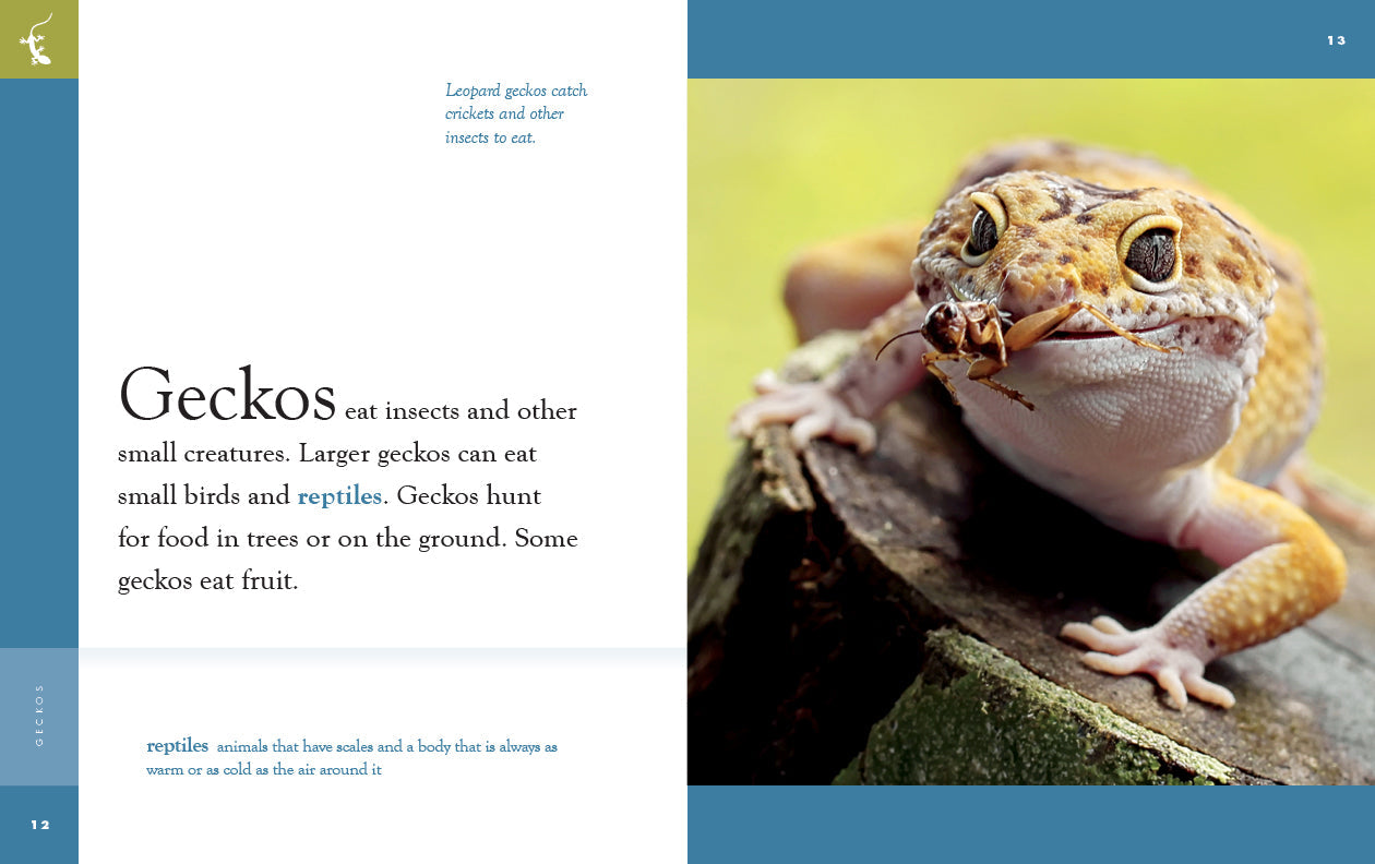 Amazing Animals - New Edition: Geckos by The Creative Company Shop