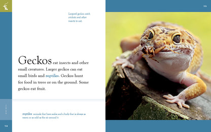 Amazing Animals - New Edition: Geckos by The Creative Company Shop