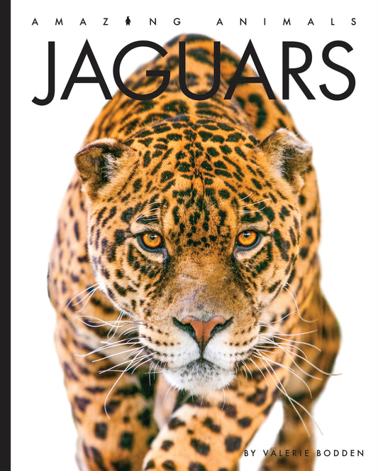 Amazing Animals - New Edition: Jaguars by The Creative Company Shop