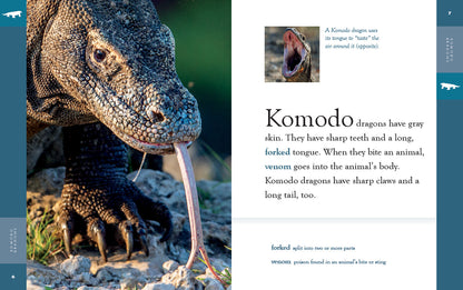 Amazing Animals - New Edition: Komodo Dragons by The Creative Company Shop