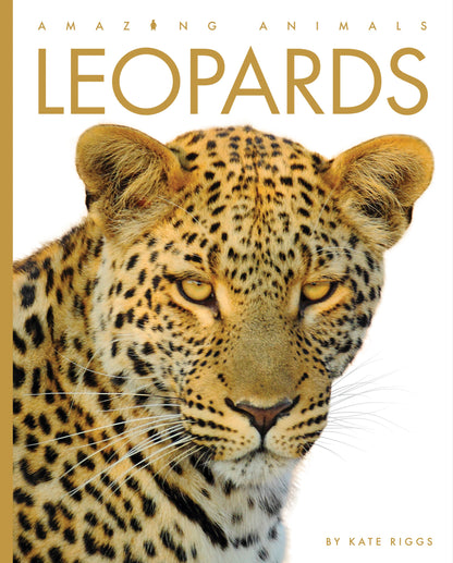 Amazing Animals - New Edition: Leopards by The Creative Company Shop