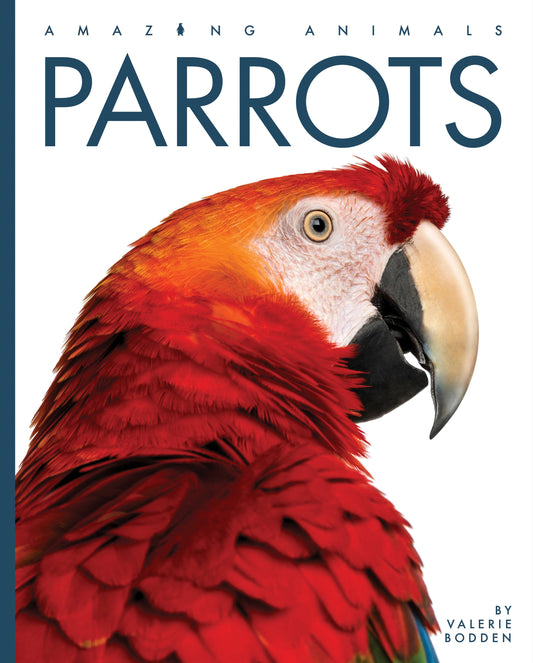 Amazing Animals - New Edition: Parrots by The Creative Company Shop