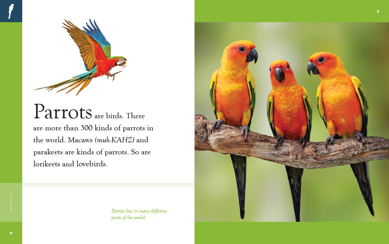 Amazing Animals - New Edition: Parrots by The Creative Company Shop