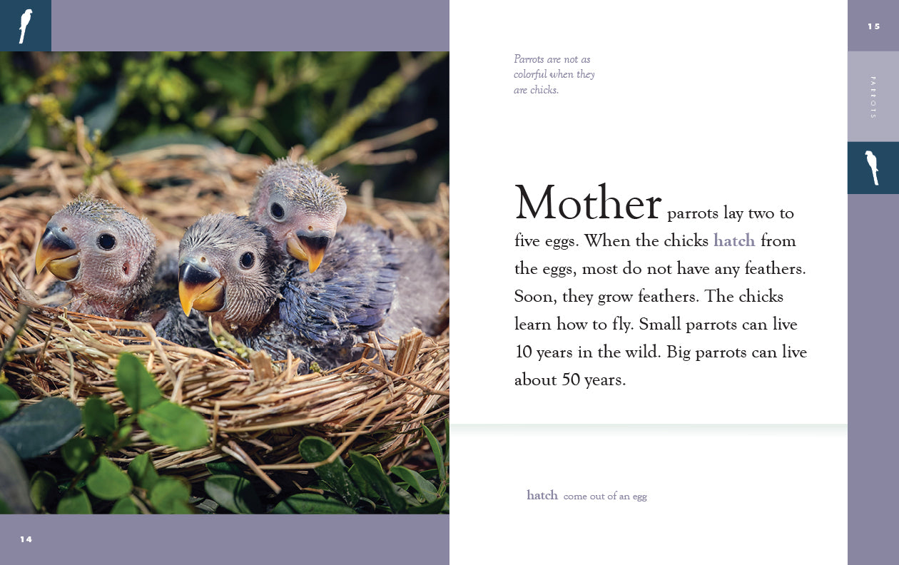 Amazing Animals - New Edition: Parrots by The Creative Company Shop