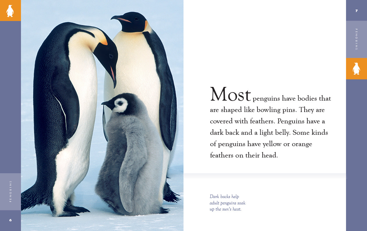 Amazing Animals - New Edition: Penguins by The Creative Company Shop