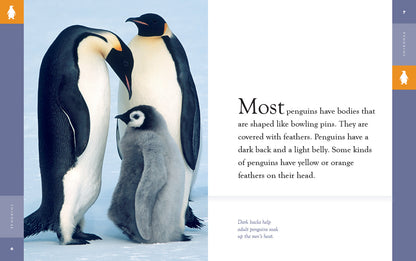 Amazing Animals - New Edition: Penguins by The Creative Company Shop