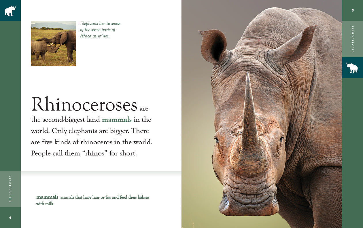 Amazing Animals - New Edition: Rhinoceroses by The Creative Company Shop