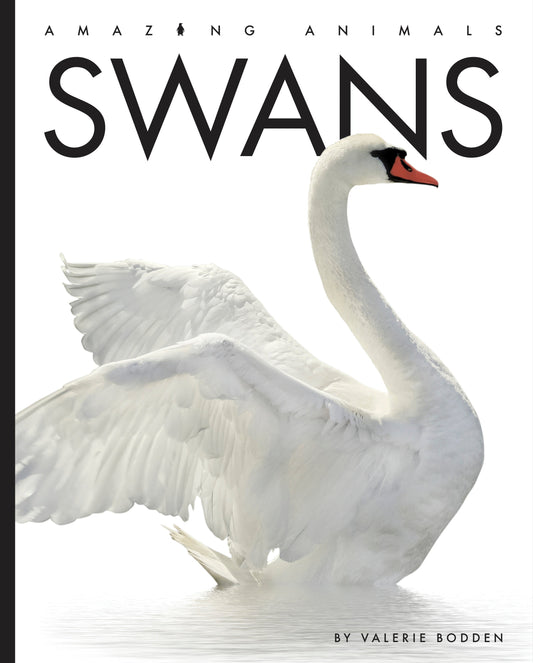 Amazing Animals - New Edition: Swans by The Creative Company Shop