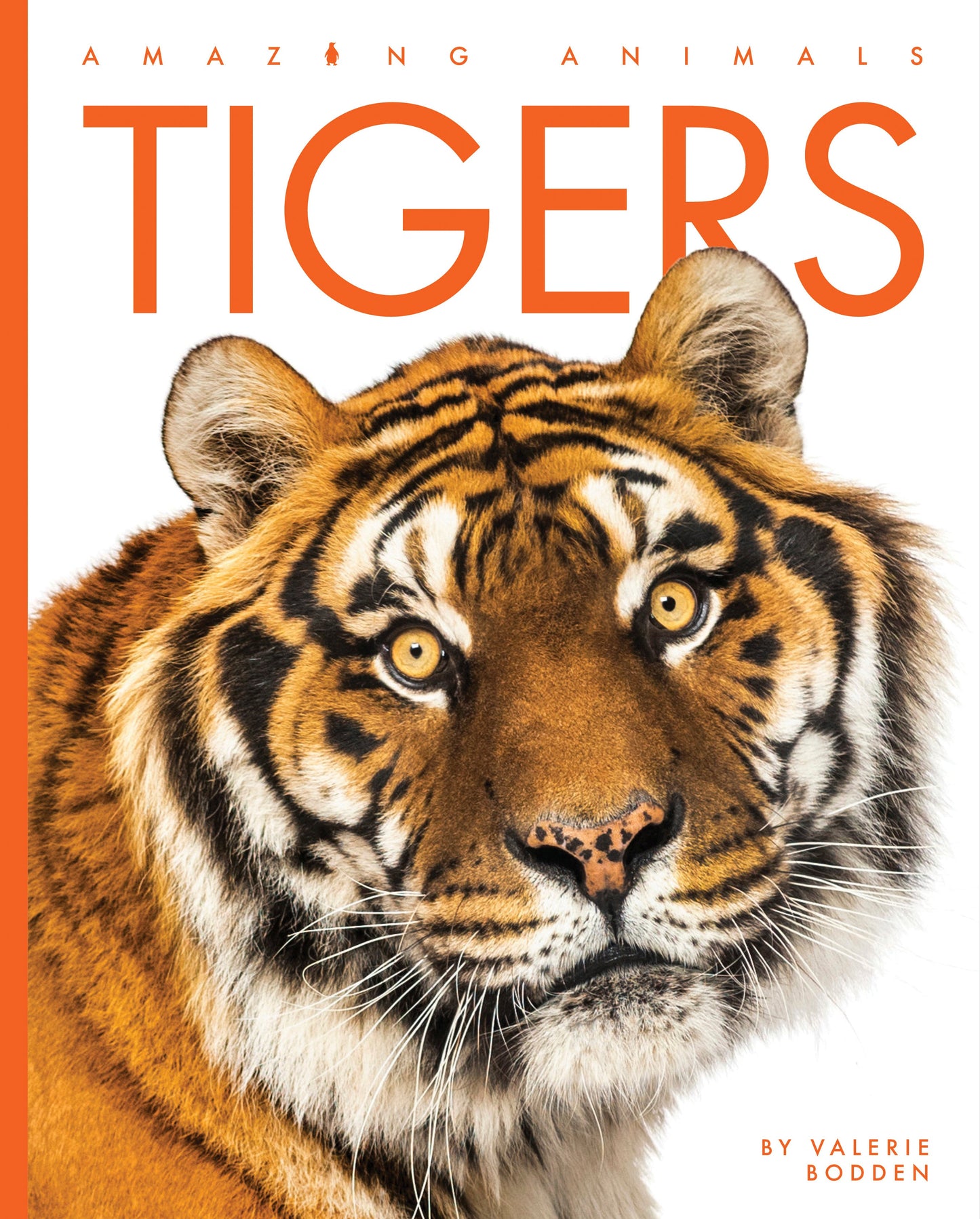 Amazing Animals - New Edition: Tigers by The Creative Company Shop