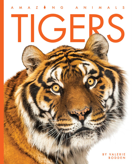 Amazing Animals - New Edition: Tigers by The Creative Company Shop