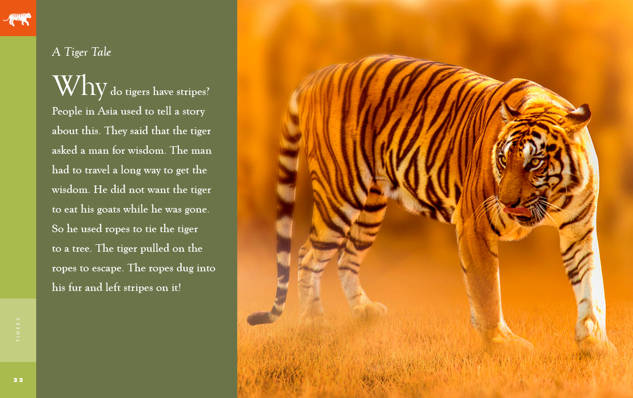 Amazing Animals - New Edition: Tigers by The Creative Company Shop