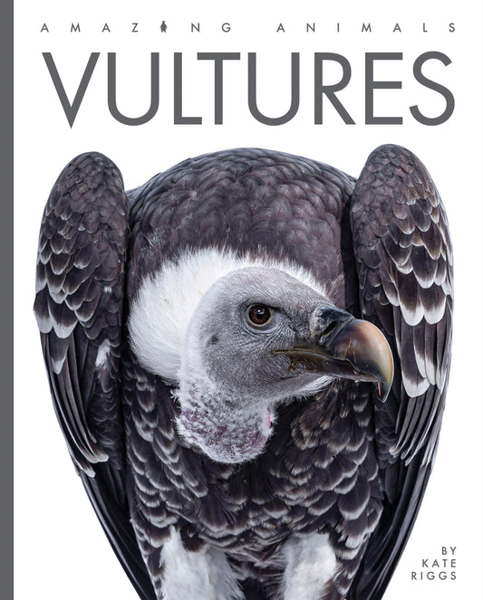 Amazing Animals - New Edition: Vultures by The Creative Company Shop