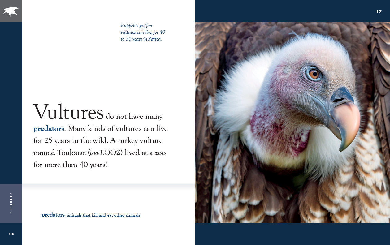Amazing Animals - New Edition: Vultures by The Creative Company Shop