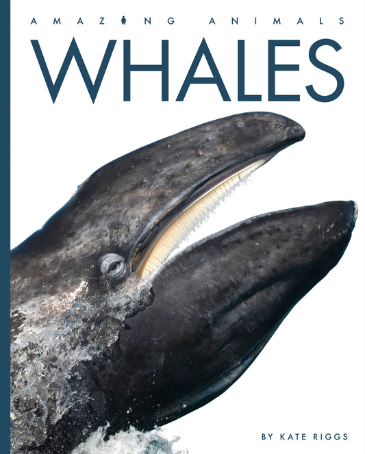 Amazing Animals - New Edition: Whales by The Creative Company Shop