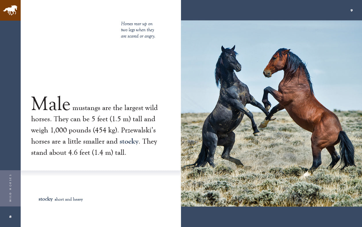 Amazing Animals (2022): Wild Horses by The Creative Company Shop