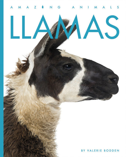 Amazing Animals - New Edition: Llamas by The Creative Company Shop