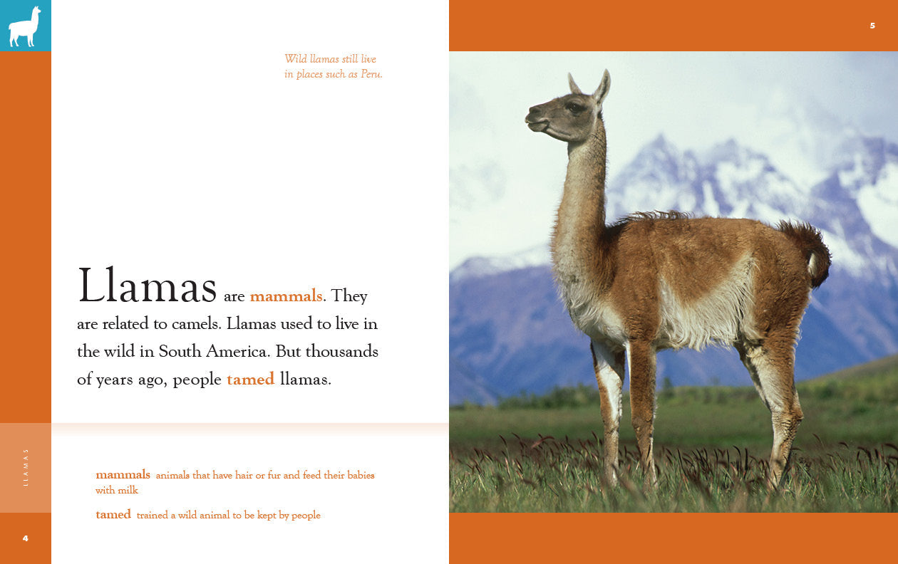 Amazing Animals - New Edition: Llamas by The Creative Company Shop