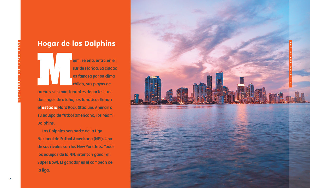 Creative Sports: Campeones del Super Bowl: Los Miami Dolphins (2023) by The Creative Company Shop