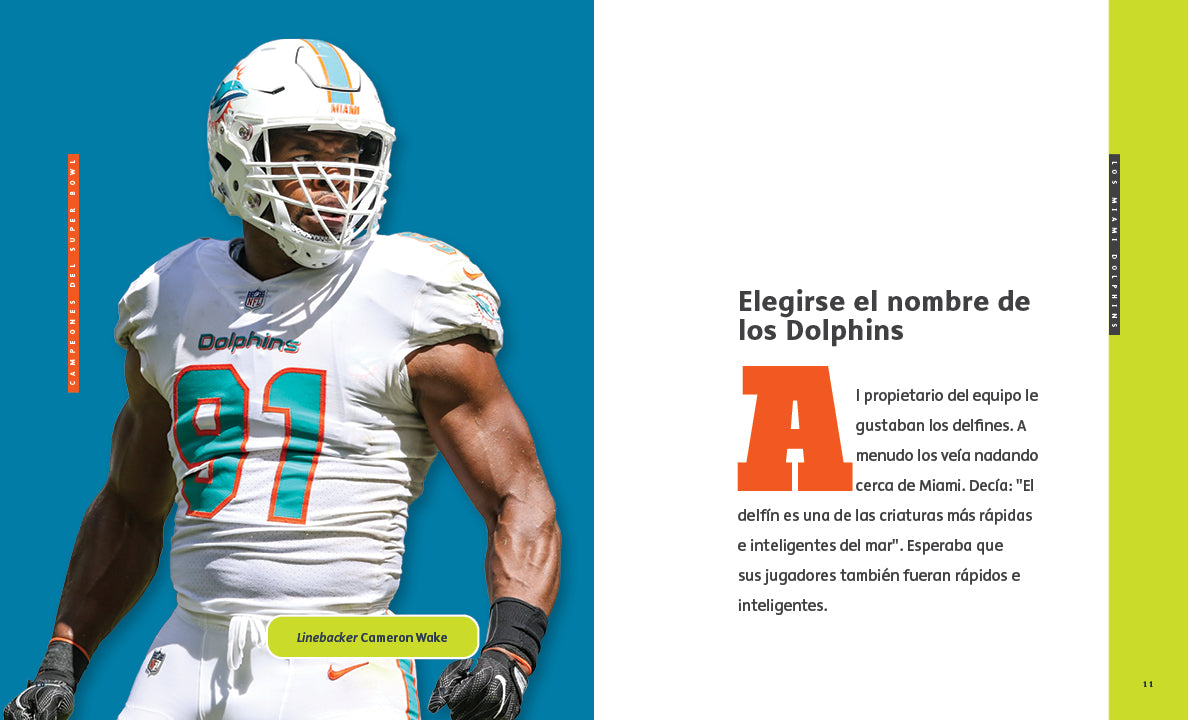 Creative Sports: Campeones del Super Bowl: Los Miami Dolphins (2023) by The Creative Company Shop