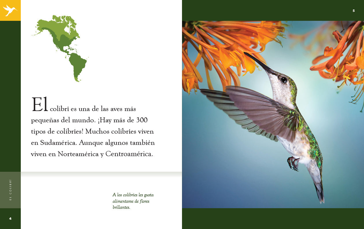 Planeta animal - New Edition: El colibrí by The Creative Company Shop