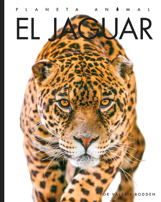 Planeta animal - New Edition: El jaguar by The Creative Company Shop