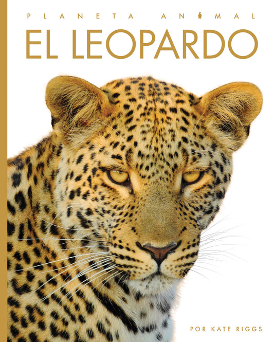 Planeta animal - New Edition: El leopardo by The Creative Company Shop