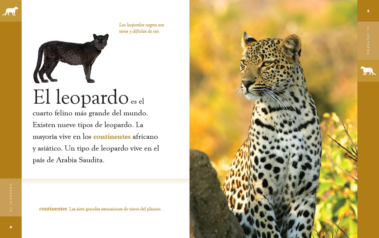 Planeta animal - New Edition: El leopardo by The Creative Company Shop