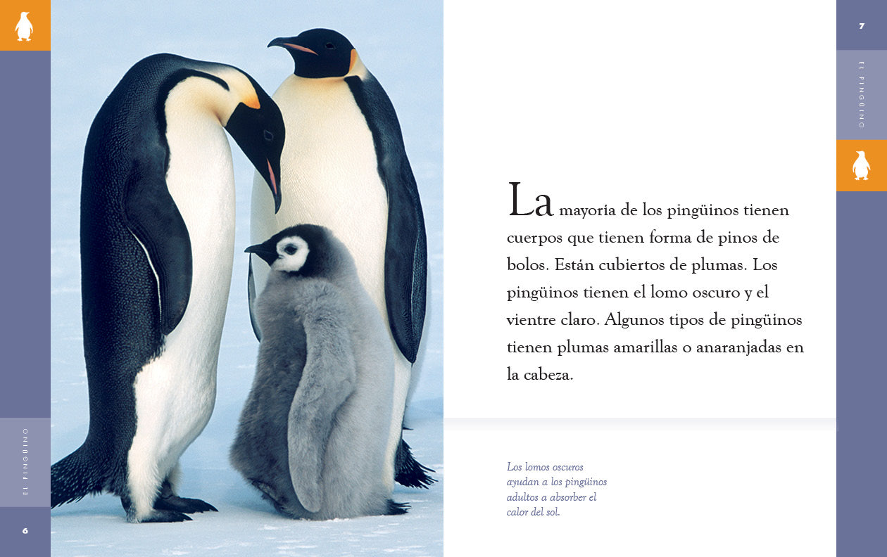 Planeta animal - New Edition: El pingüino by The Creative Company Shop