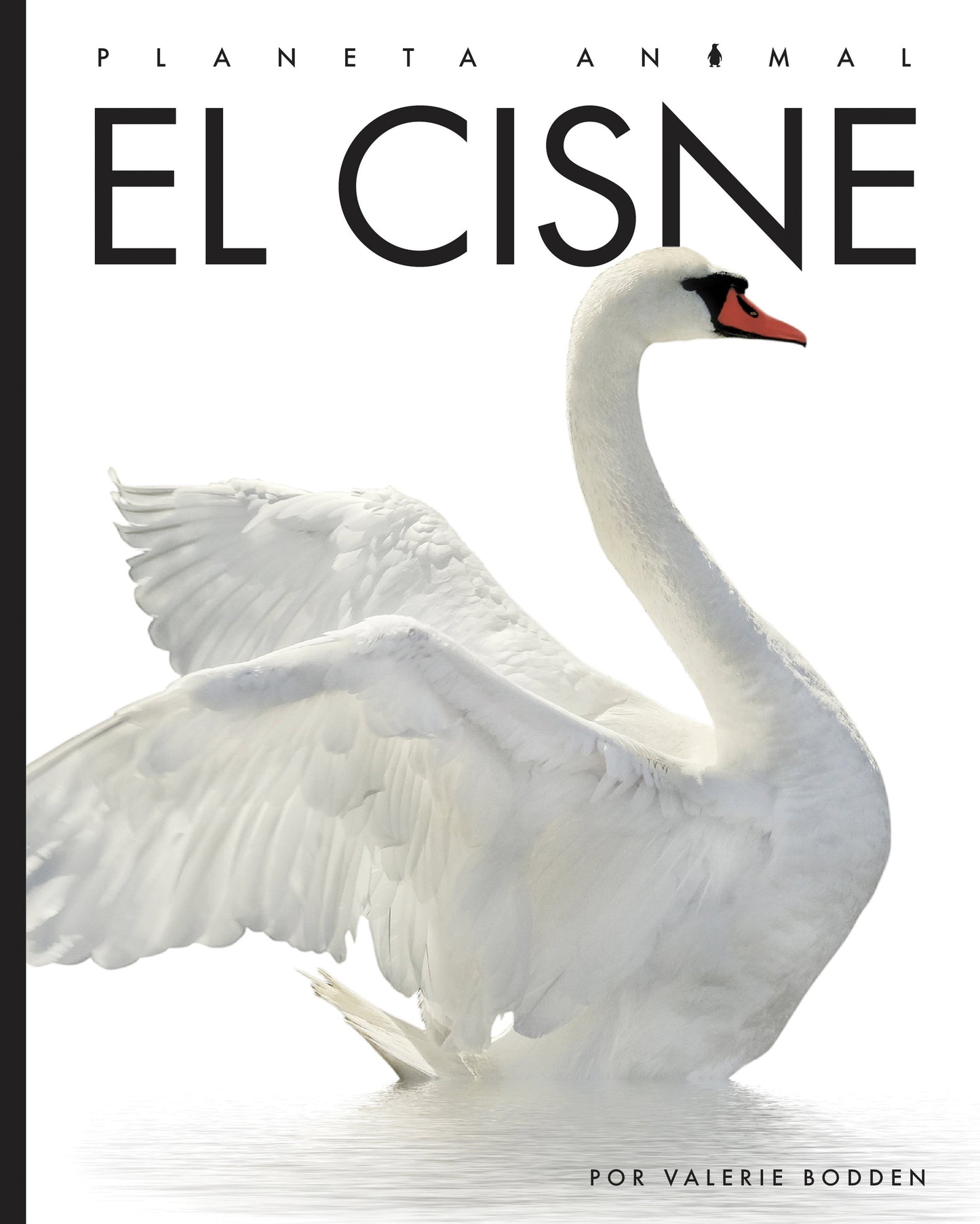 Planeta animal (2022): El cisne by The Creative Company Shop