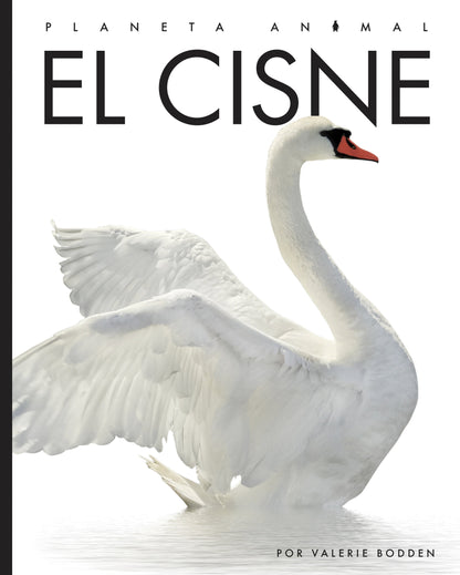 Planeta animal (2022): El cisne by The Creative Company Shop